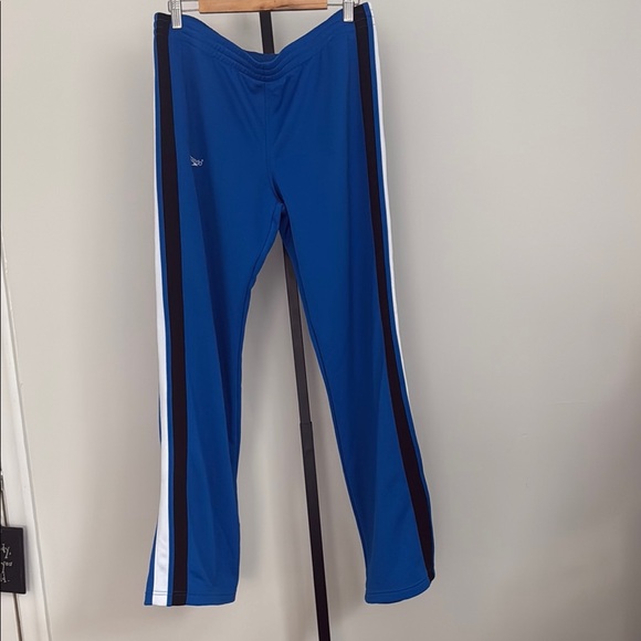 Speedo Other - Men’s Speedo Blue Athletic Pants with Stripes